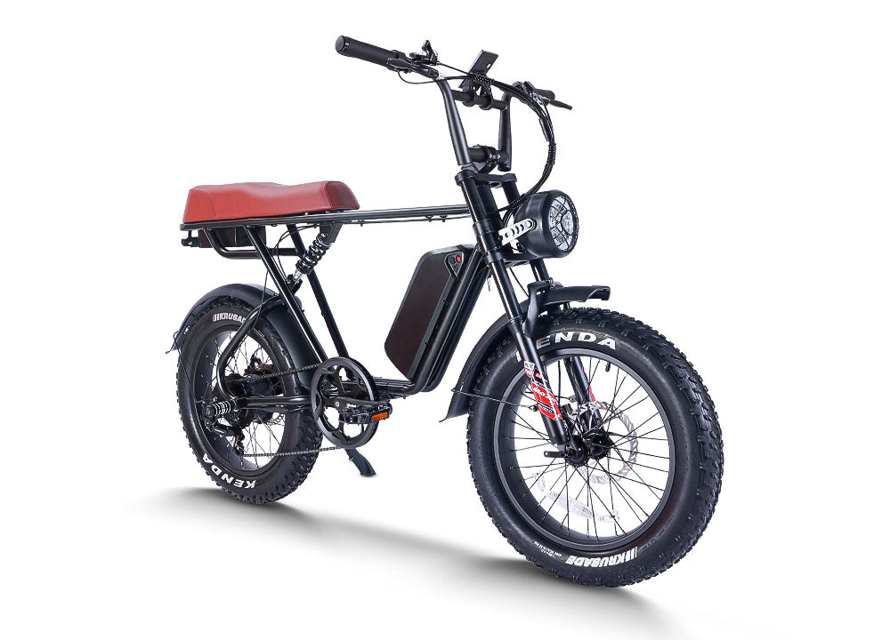 Alwaybike AEB66 | Harley-Like Hi-Tech Ebike
