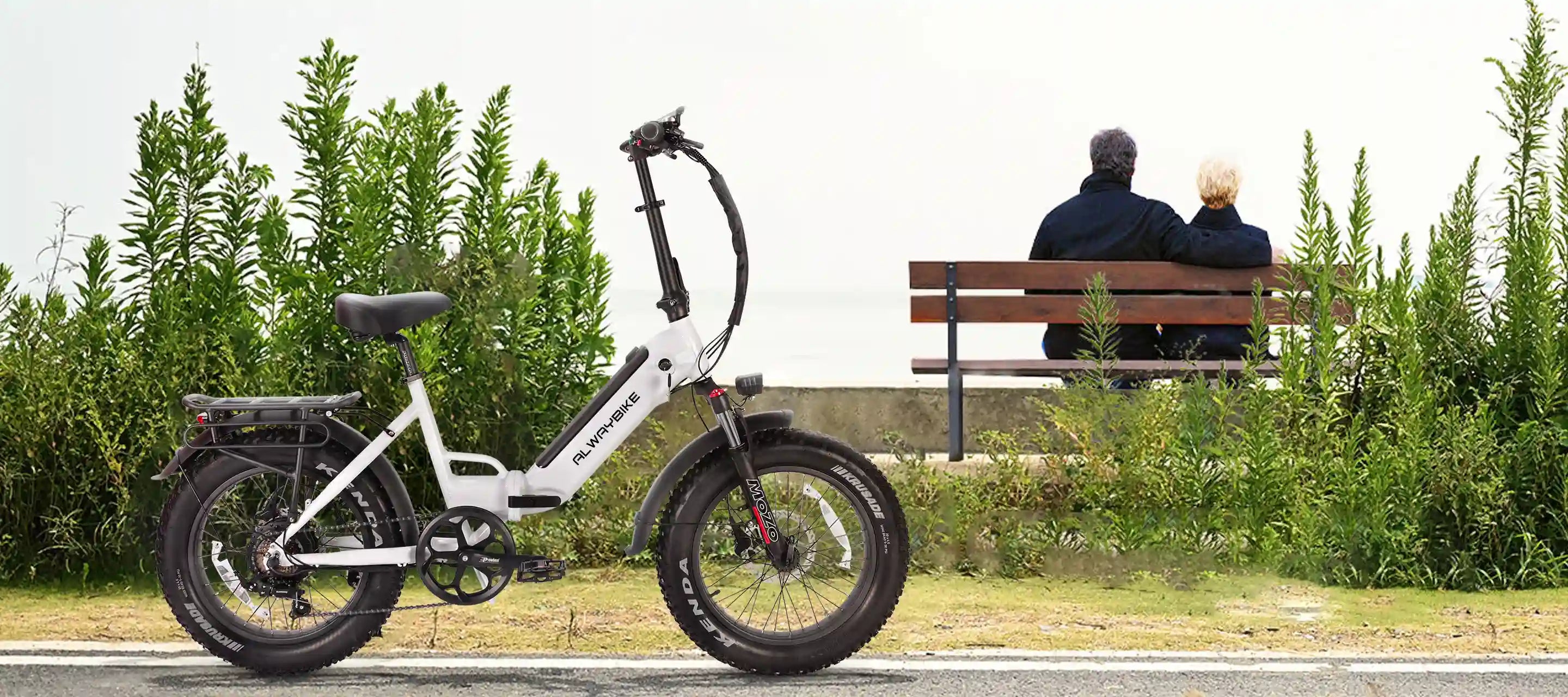 5 Steps to Choose the Electric Folding Bike That Suits You Best