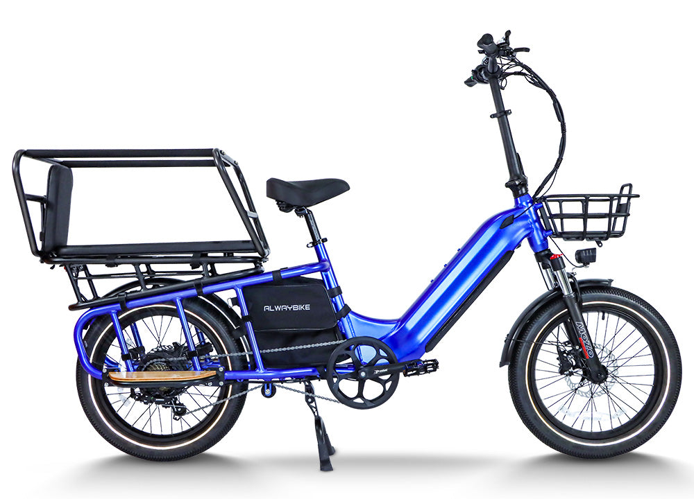 Premium Cargo Electric Bike AEB69 – Power, Range & Hauling Made Easy
