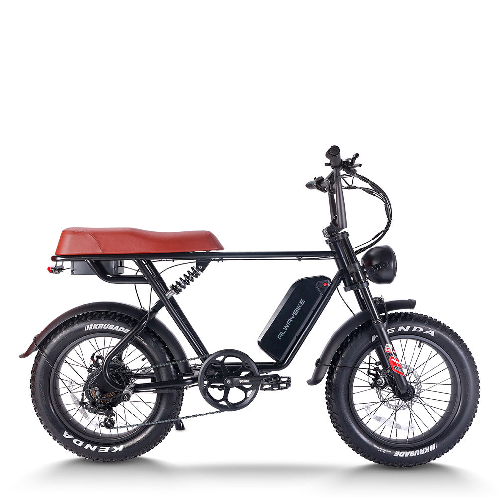 Alwaybike AEB66 | Harley-Like Hi-Tech Ebike