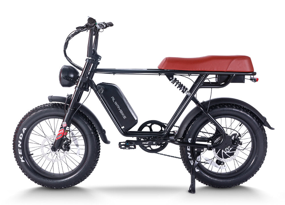 Alwaybike AEB66 | Harley-Like Hi-Tech Ebike