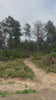 Electric dirt bikes