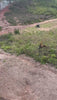 Electric dirt bike